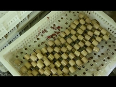 전기 용량 절연체를 위한 고전압 40.5kVAC-100pF 4000V 세라믹 콘덴서